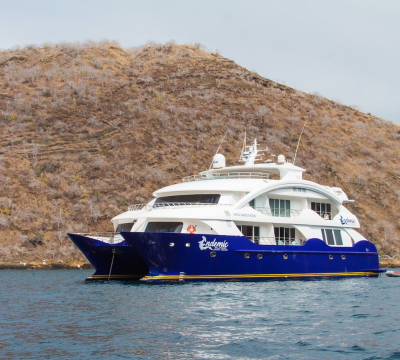 Galapagos Islands yacht charters. The Complete 2023 & 2024 Guide by